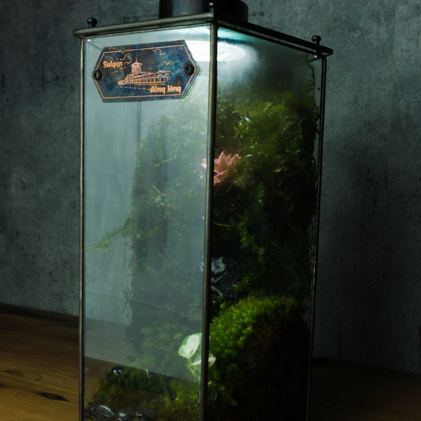 VAUBAN Castle - Stain Glass Terrarium, Ready to Fly (Only Box, Plants and mosses are not included)