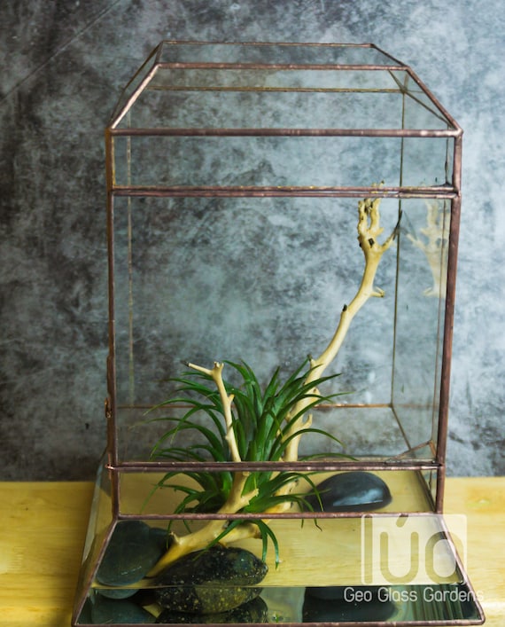 Wardian case. Closed Terrarium. Stained Glass Planter. Geometric Decor. Geometric Terrarium. Terrarium. Terrarium Container