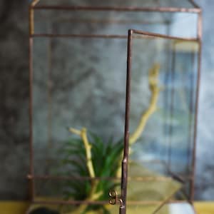 Wardian case. Closed Terrarium. Stained Glass Planter. Geometric Decor. Geometric Terrarium. Terrarium. Terrarium Container image 5