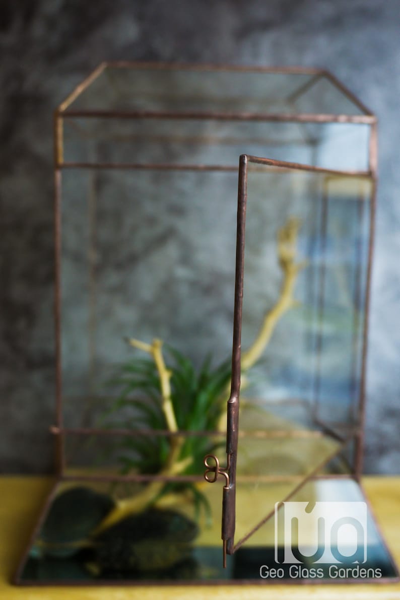 Wardian case. Closed Terrarium. Stained Glass Planter. Geometric Decor. Geometric Terrarium. Terrarium. Terrarium Container image 5