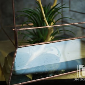 Wardian case. Closed Terrarium. Stained Glass Planter. Geometric Decor. Geometric Terrarium. Terrarium. Terrarium Container image 7