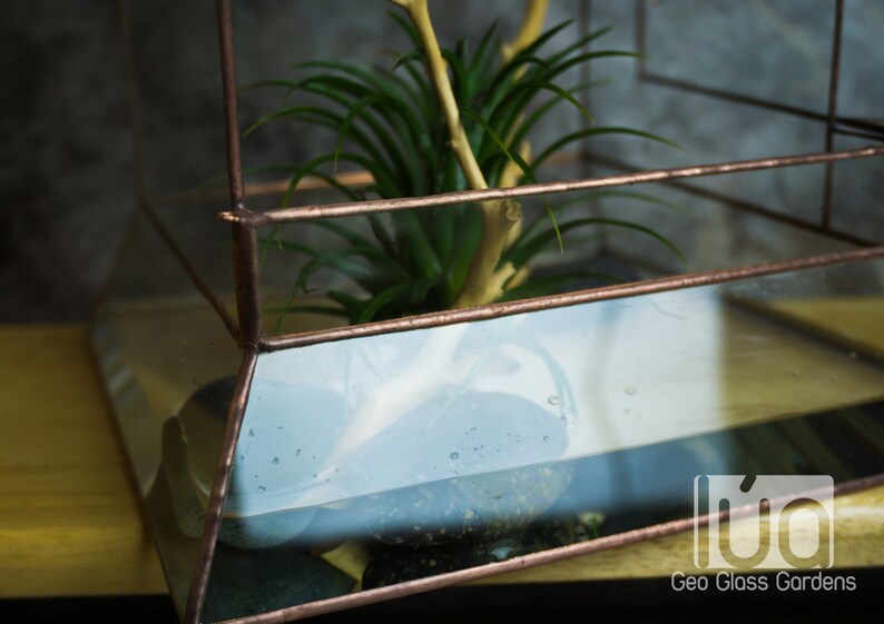 Wardian case. Closed Terrarium. Stained Glass Planter. Geometric Decor. Geometric Terrarium. Terrarium. Terrarium Container image 7