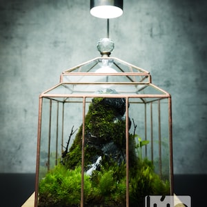 The Penthouse, Stain Glass Terrarium, International Exclusive by LuadesignVN (Only Box, Plants are not included)