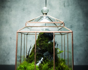The Penthouse, Stain Glass Terrarium, International Exclusive by LuadesignVN (Only Box, Plants are not included)