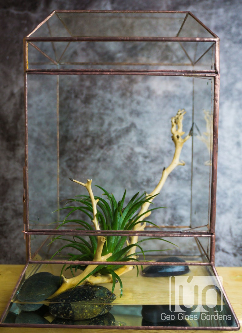 Wardian case. Closed Terrarium. Stained Glass Planter. Geometric Decor. Geometric Terrarium. Terrarium. Terrarium Container image 2