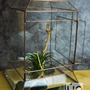 Wardian case. Closed Terrarium. Stained Glass Planter. Geometric Decor. Geometric Terrarium. Terrarium. Terrarium Container image 3