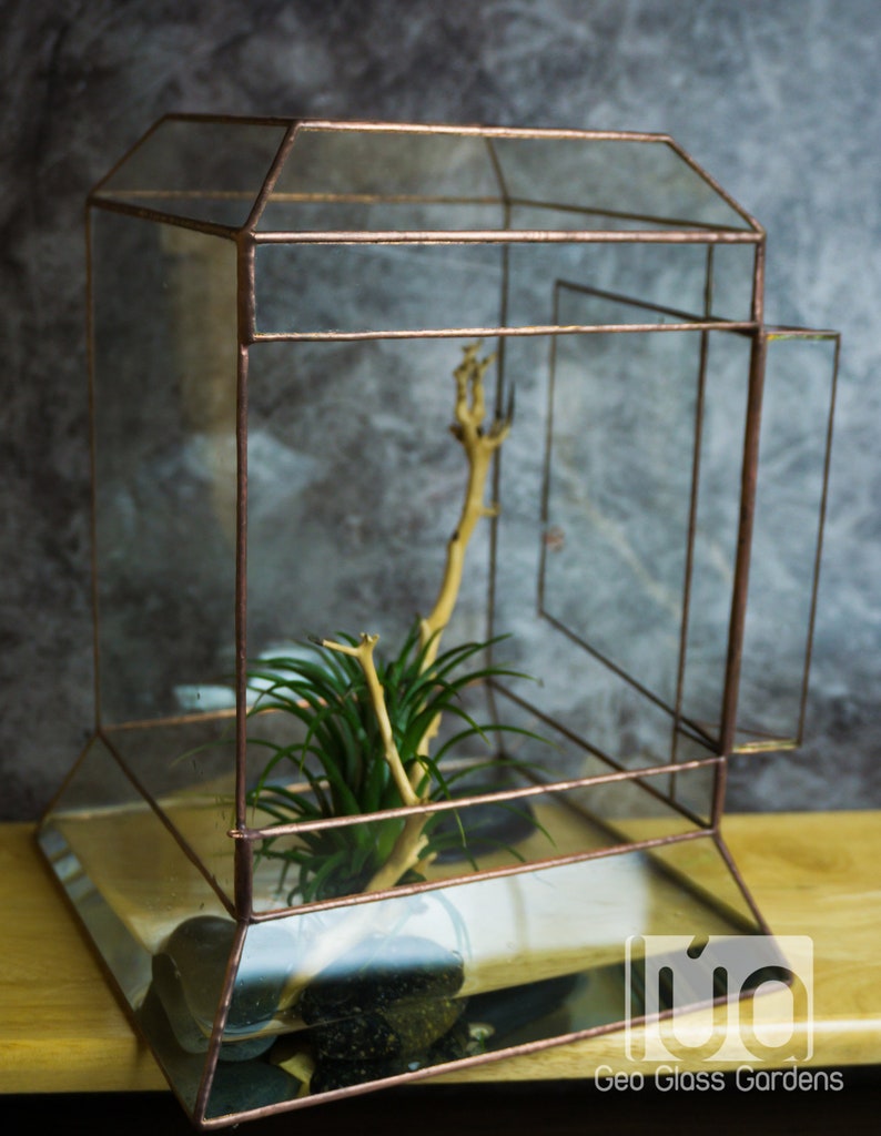 Wardian case. Closed Terrarium. Stained Glass Planter. Geometric Decor. Geometric Terrarium. Terrarium. Terrarium Container image 3