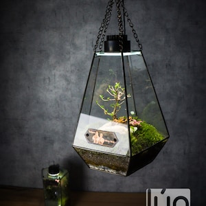 The BABYLON Hanging Garden - Stain Glass Terrarium, Ready to Fly (Only Box, Plants and mosses are not included)