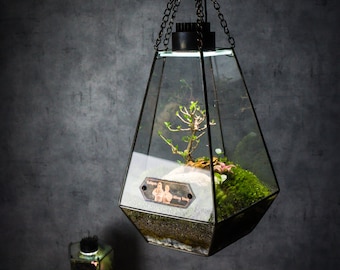 The BABYLON Hanging Garden - Stain Glass Terrarium, Ready to Fly (Only Box, Plants and mosses are not included)