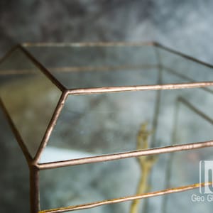 Wardian case. Closed Terrarium. Stained Glass Planter. Geometric Decor. Geometric Terrarium. Terrarium. Terrarium Container image 8