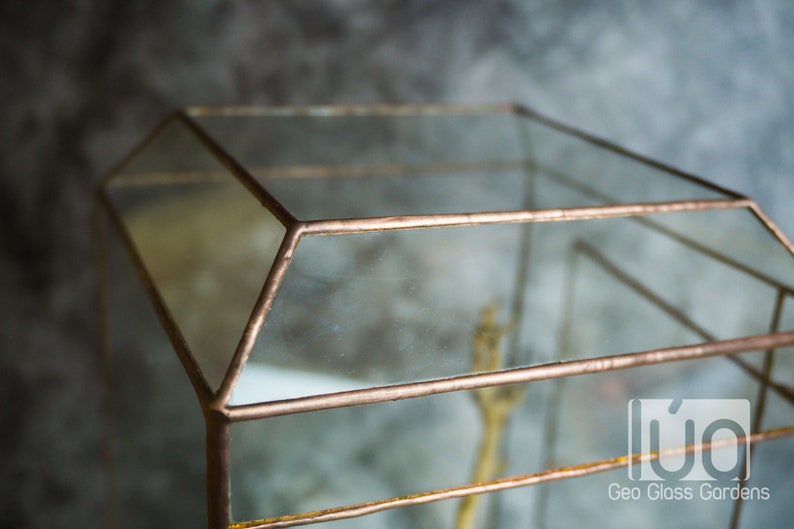 Wardian case. Closed Terrarium. Stained Glass Planter. Geometric Decor. Geometric Terrarium. Terrarium. Terrarium Container image 8