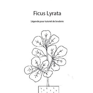 Tutoriel de broderie téléchargeable : Ficus Lyrata Embroidery tutorial to download Fiddle Fig Tree image 3