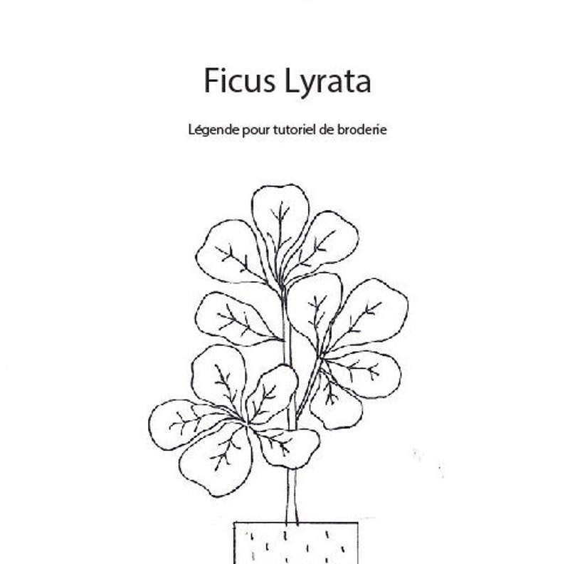 Tutoriel de broderie téléchargeable : Ficus Lyrata Embroidery tutorial to download Fiddle Fig Tree image 3