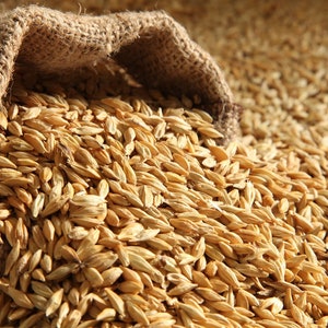 Basswood Farms Färskt ekologiskt korn 10 pund
