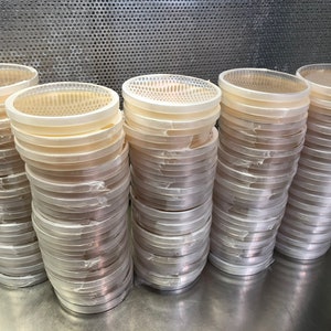 One Basswood Farms Sterile Pre Poured Agar Petri Dish