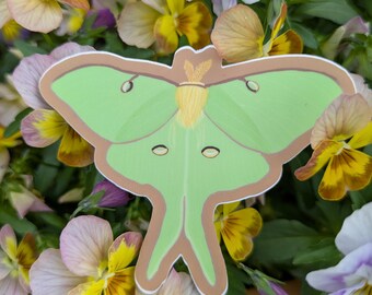 Luna Moth Sticker