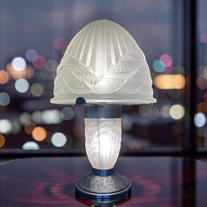 壁掛け照明器具用エッチング加工フロストガラスシェード、2個セット