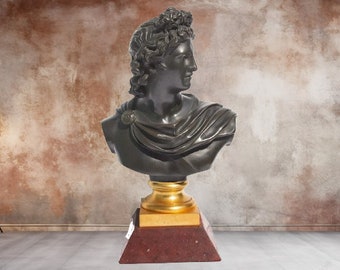 Bronze Bust Of Apollo, France, 19th Century - 19th Century French Bronze Bust Of Apollo