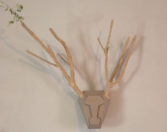 Deer Head