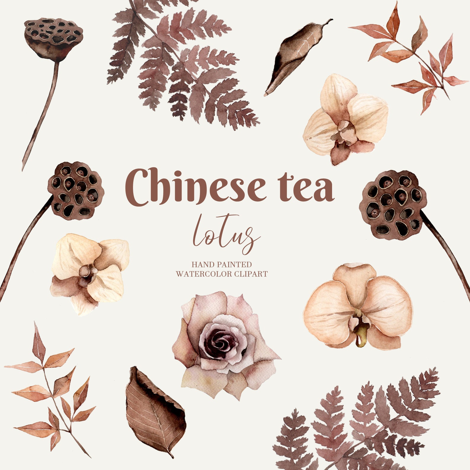 Watercolor chinese flowers Watercolor beautiful Lotus Etsy