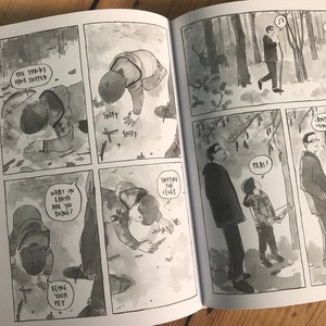 Collecting Sticks graphic novel by Joe Decie image 2