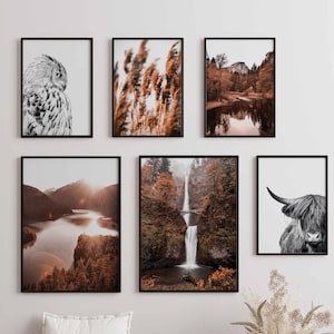 Heimlich® Premium Poster Set | Pictures for the living room | Wall pictures for the bedroom | Decorative print with or without frame | Wall decoration set mountains forest