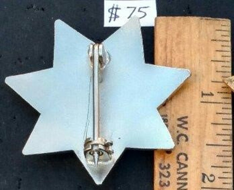 Tehama County Probation Juvenile Hall Calif. 7 Point Star Etsy