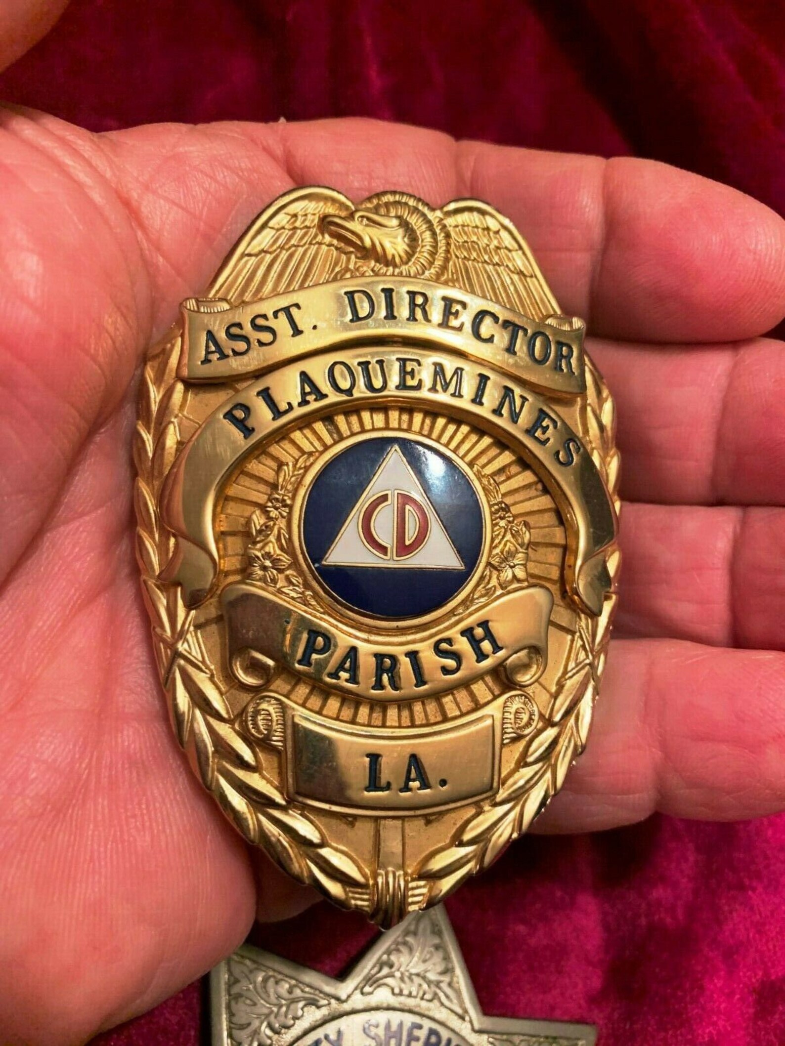 Asst. Director Plaquemines Parish CD Sheriff / Police Etsy