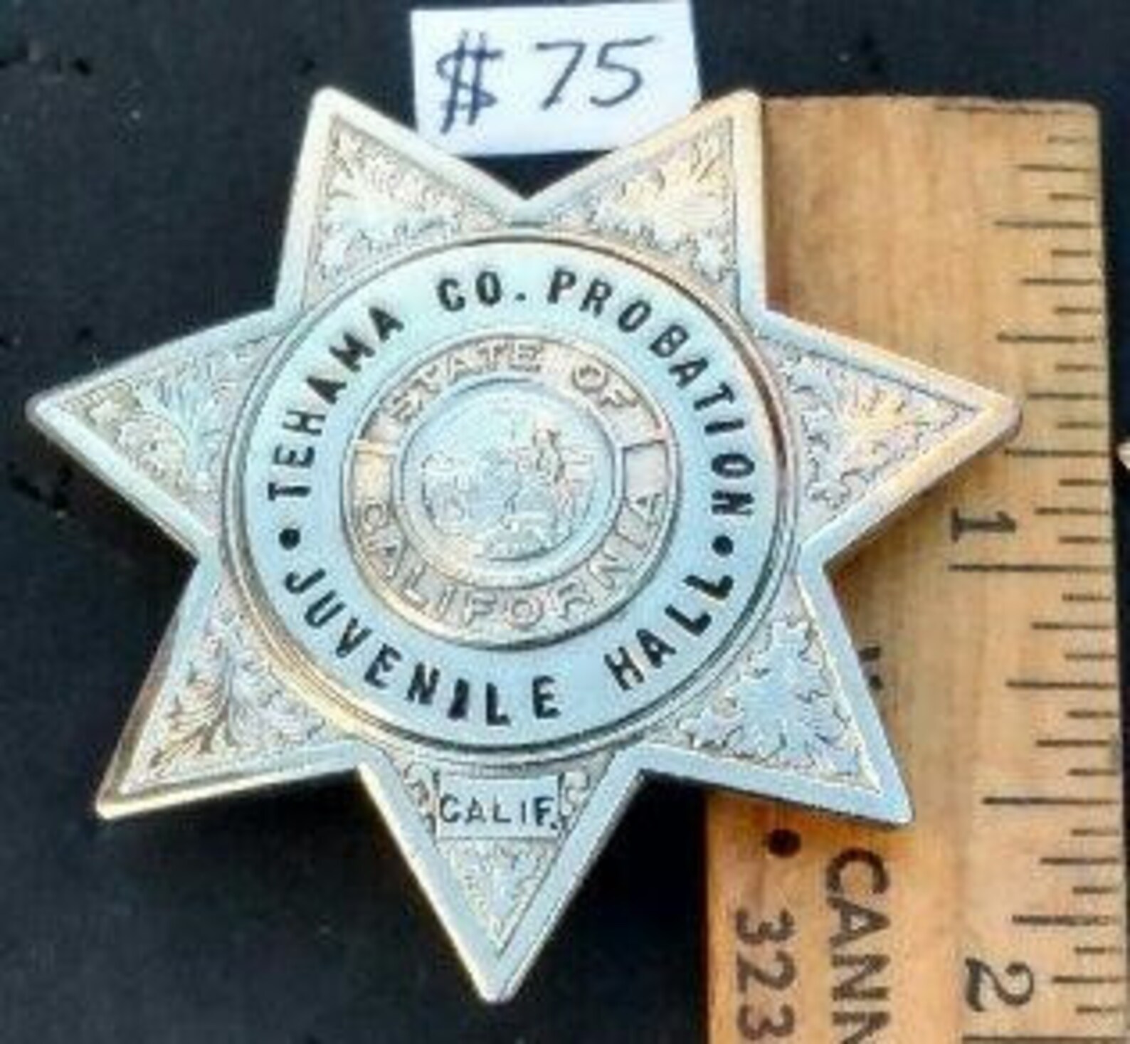 Tehama County Probation Juvenile Hall Calif. 7 Point Star Etsy