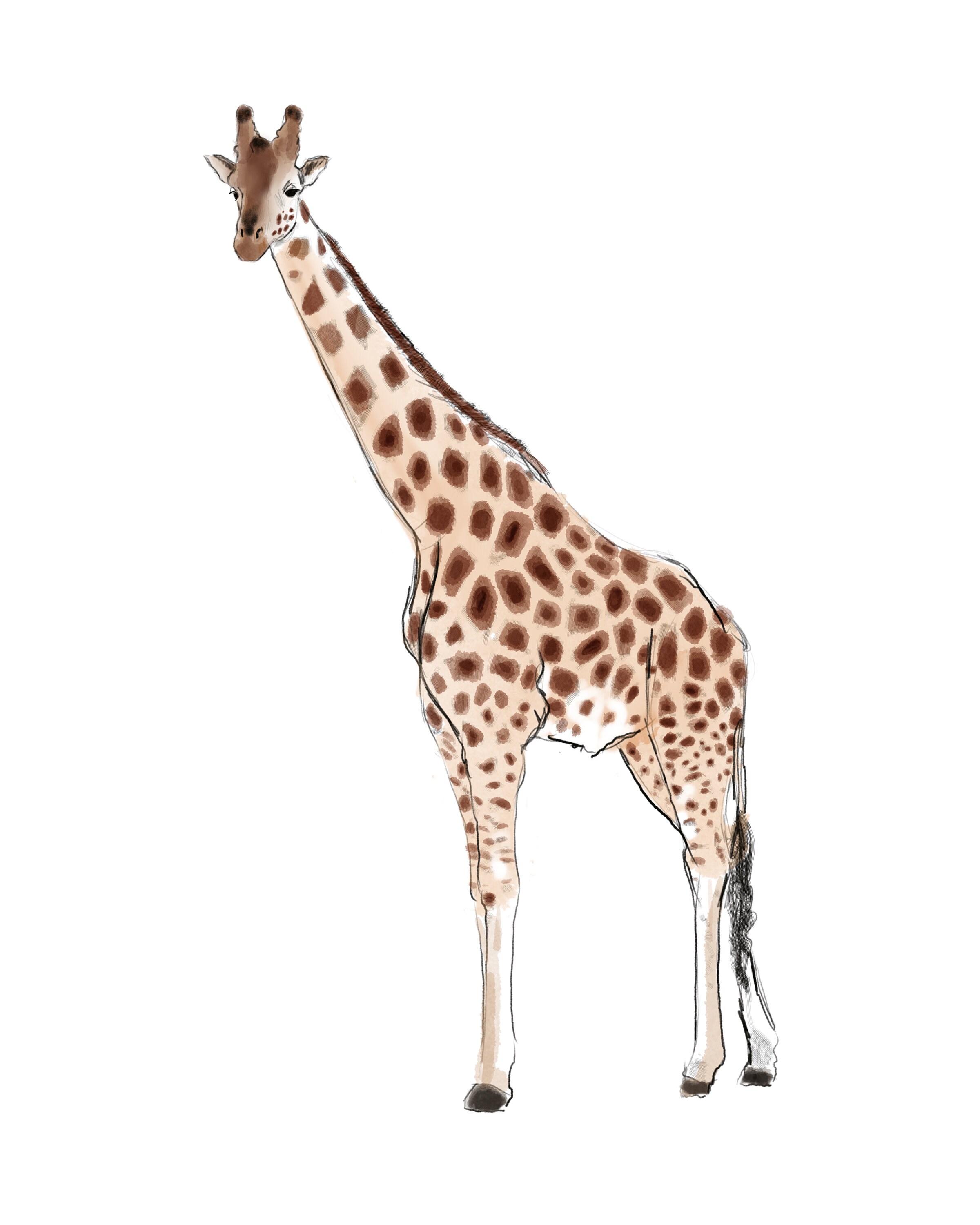 Giraffe Print Wildlife Print Digital Download Nursery | Etsy