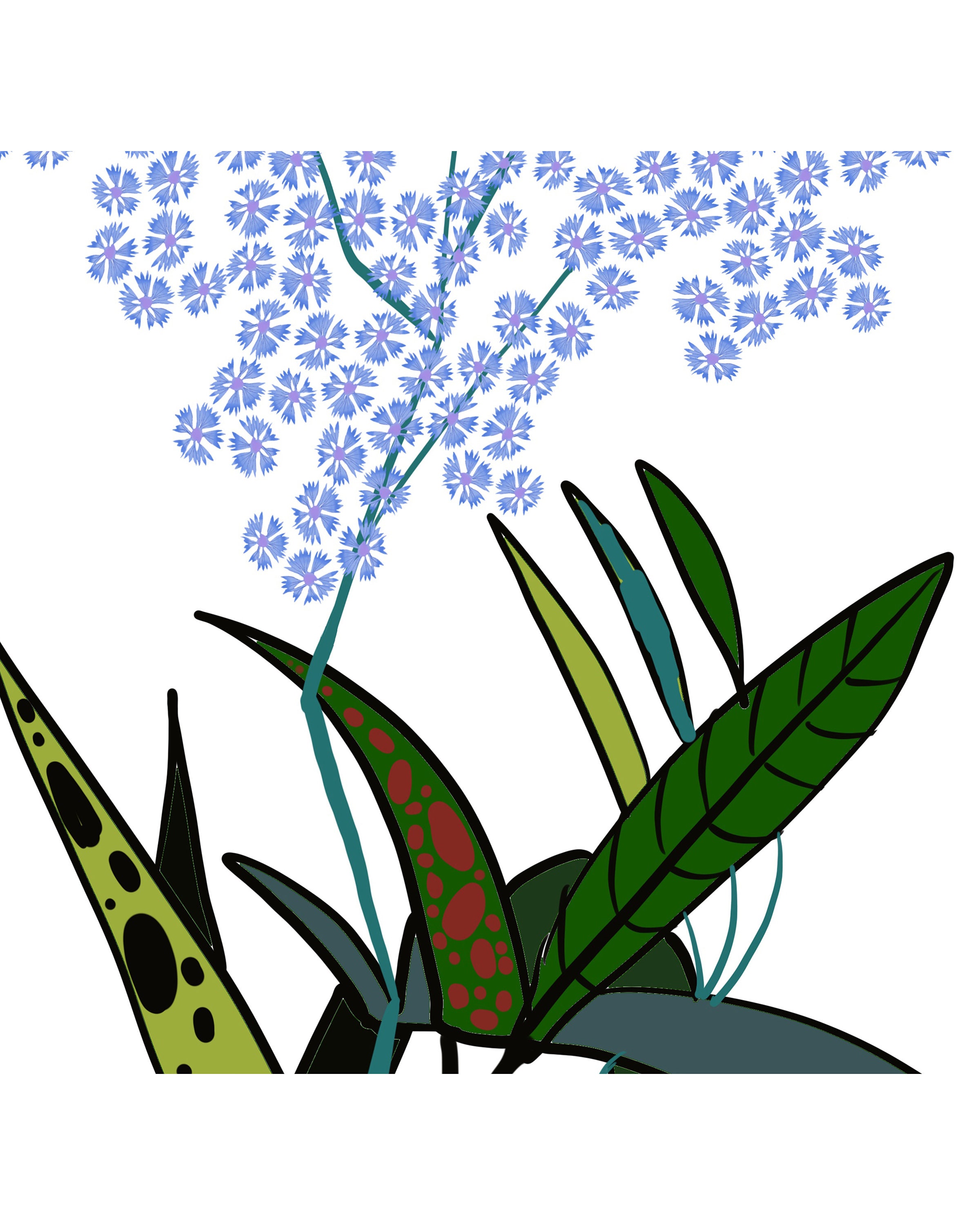 Flower Print Flower Wall Art