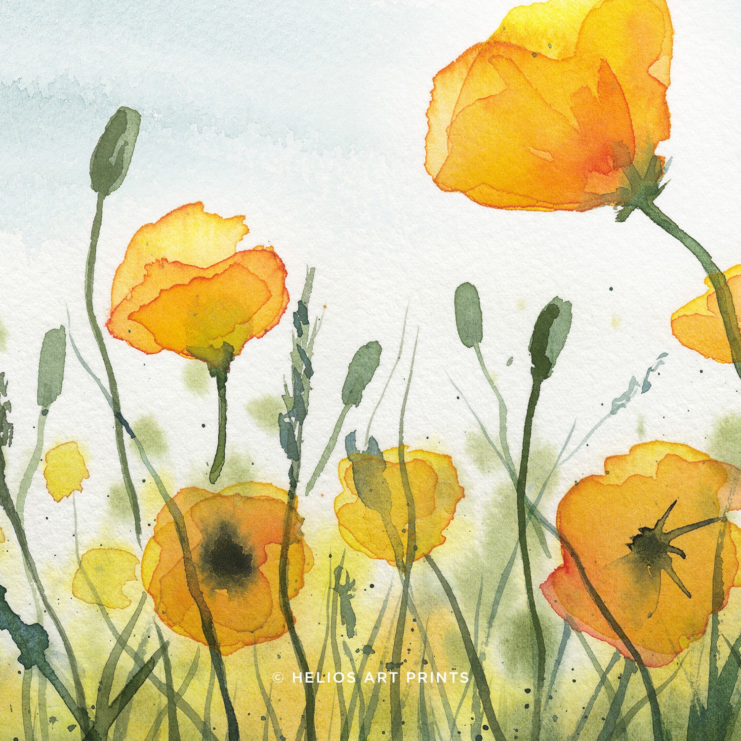 Yellow Poppy Meadow Watercolour Art Print. Yellow Wild Flower Etsy UK