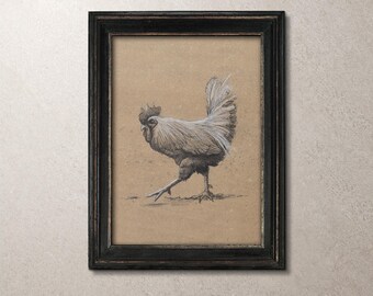 Rooster Wall Art, Premium Print of an Original Piece, Watercolour, Charcoal and Pen Sketch. Farm Cockerel Illustration Unframed