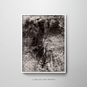 Abstract Minimalist Aged Tree Rings Art Print. Contemporary Sepia Toned Log Slice Wall Decor. Rustic Wooden Texture Giclée Wall Art Print