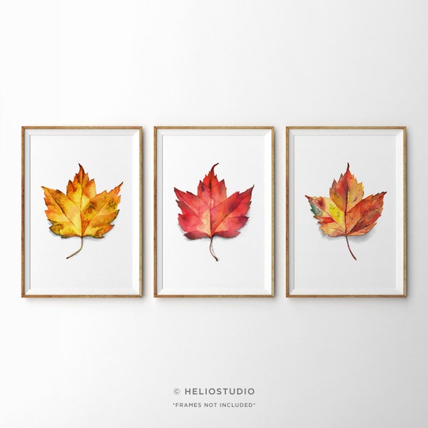 Set Of 3 Fall Leaf Watercolor Prints. Three Piece Watercolour Autumn Leaves in Yellow, Orange, Red, Rust, Crimson, Ochre and Gold.