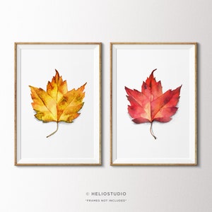2er-Set Herbst Blatt Aquarell Art Prints. Zwei Stück Aquarell Herbst Ahornblatt. Botanische Illustration, Waldkunst, Herbst Dekor