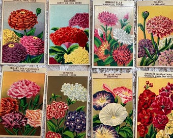 Collection of 10 Original rare pieces Antique French flower seed packet labels