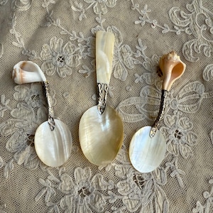 May include: Three mother of pearl spoons with silver handles. The spoons are shaped like seashells and have a natural, organic look.
