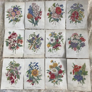 12 prachtige 19e-eeuwse onderwijsbeloningskaarten met bloemen van kunstenaar Jane Johns, uitgegeven door W Dickes rond 1875 bloemenpoëzie Kaarten