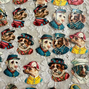 Rare collection of Antique German Dog heads 1870-1885