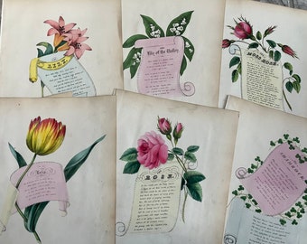 Exquisite Hand coloured flowers  Nineteenth Century Victorian embossed album page