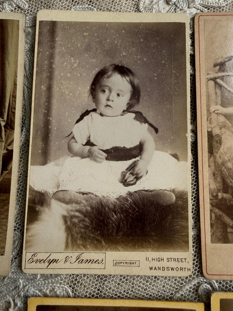 May include: Sepia-toned antique photograph of a baby seated on a fur-like surface. The baby wears a white dress with dark accents and a black sash. The photograph is labeled "Evelyn & James, 11, High Street, Wandsworth."