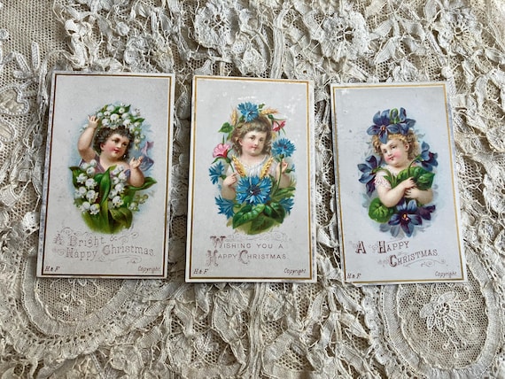 rare christmas cards West Virginia Species Original Card Artist Sam Norris 10 Pack Vintage Rare 19 Christmas Cards