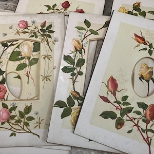 Hermosas tarjetas de gabinete florales del siglo XIX, páginas de álbumes de fotos victorianos, marcos florales victorianos