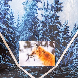 Cartes postales de la faune du renard