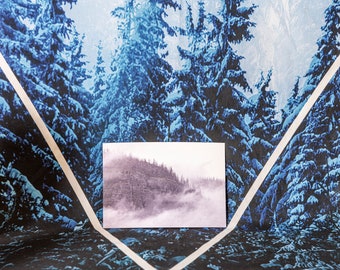 Yellowstone Landscape Postcard