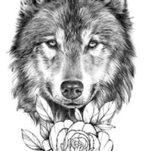 Meet Loth wolf  White B by WerewolfCZ on DeviantArt