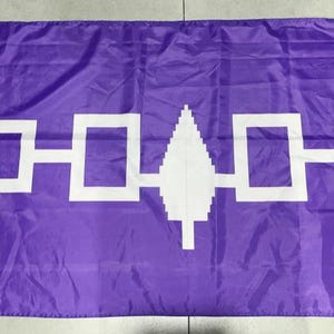 May include: A rectangular purple flag featuring a horizontal white line that connects four white square outlines and a central white pine tree symbol. The flag has a white vertical strip on the left side with two metal grommets for hanging.
