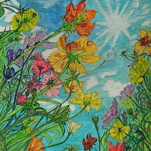 Fiori nel cielo