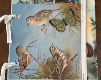 Handmade Junk Journal: Vintage Ephemera, Bird & Butterfly Collage